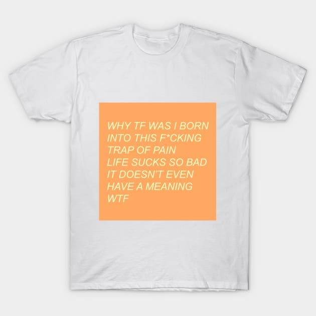 WTFIWASBORN T-Shirt by fcktheseshirts